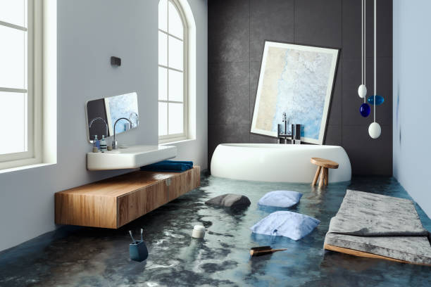 Water damage restoration mold remediation in Bangs, TX