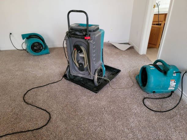 Best Water damage restoration near me  in Bangs, TX
