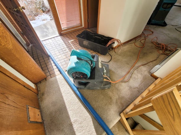 Best Water damage contractors near me  in Bangs, TX