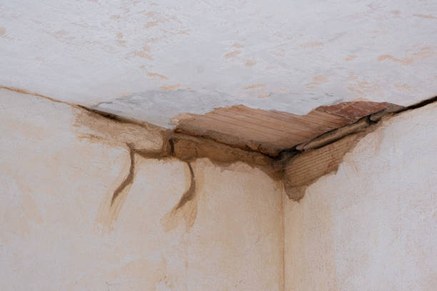 Best Fire Damage Restoration  in Bangs, TX
