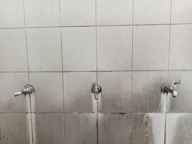 Best Water damage cleanup near me  in Bangs, TX