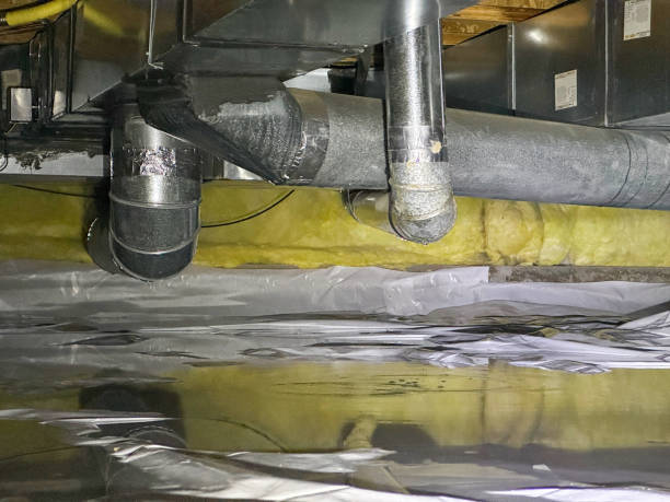 Best Water damage repair service  in Bangs, TX