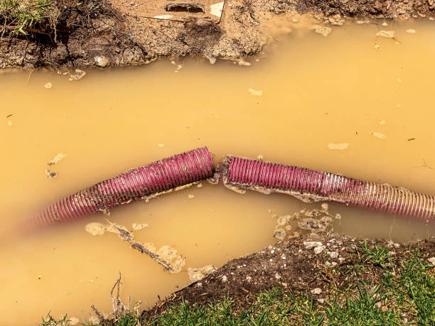 Best Water damage restoration near me  in Bangs, TX